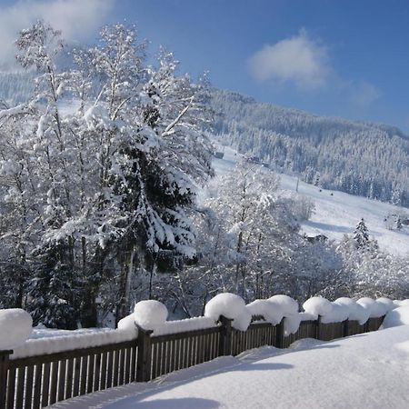 Alpbach Loftアパートメント エクステリア 写真