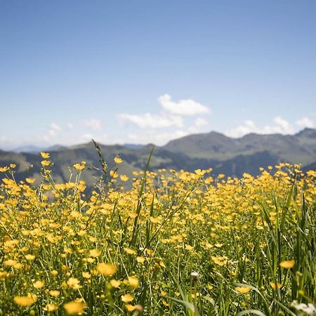Alpbach Loftアパートメント エクステリア 写真