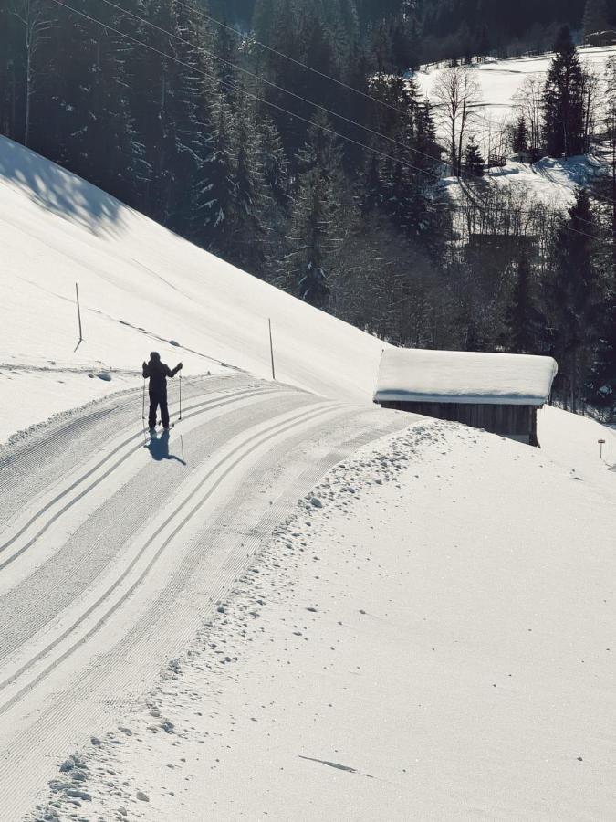 Alpbach Loftアパートメント エクステリア 写真