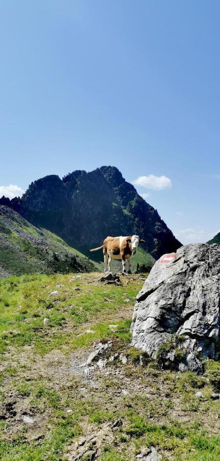 Alpbach Loftアパートメント エクステリア 写真