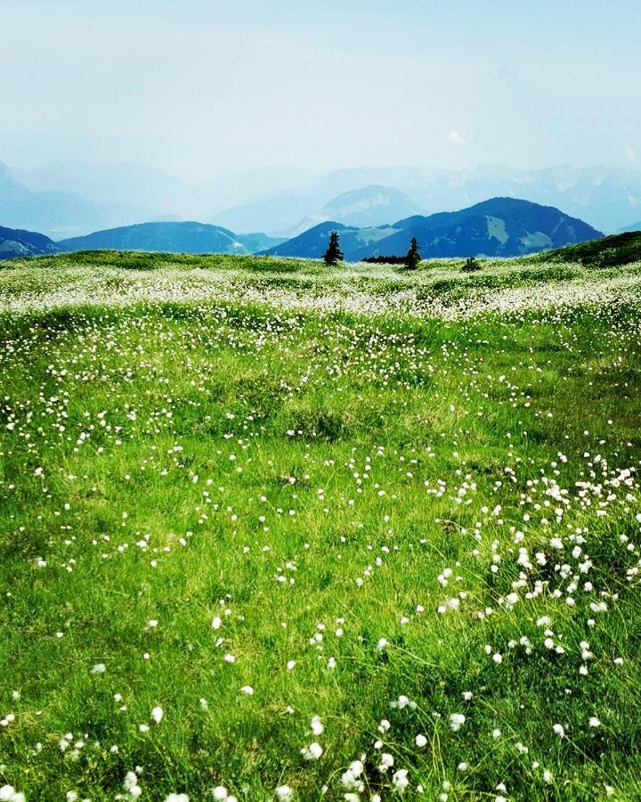 Alpbach Loftアパートメント エクステリア 写真