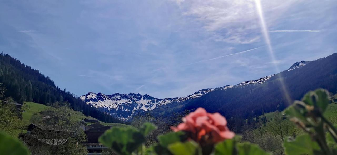 Alpbach Loftアパートメント エクステリア 写真