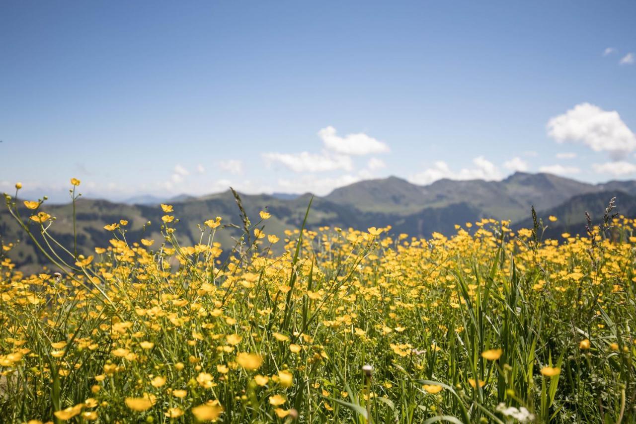 Alpbach Loftアパートメント エクステリア 写真